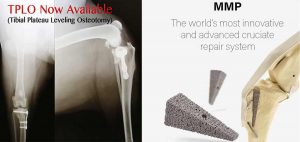 Advanced surgical practice in veterinary medicine