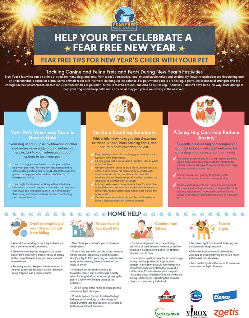 Fear Free New Year